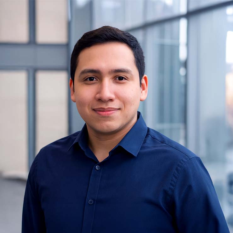 Fernando Arevalo, Animador Digital